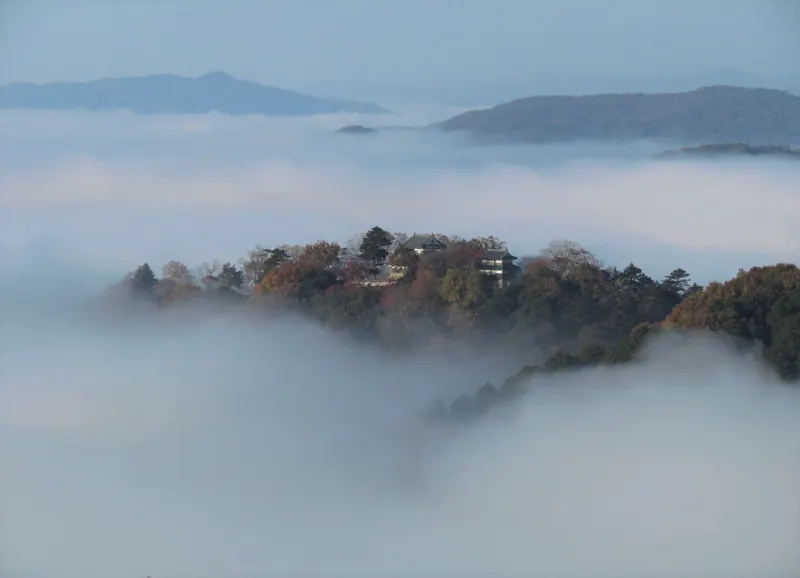 Bitchu Matsuyama Castle on its wooded mountain top above a sea of morning cloud