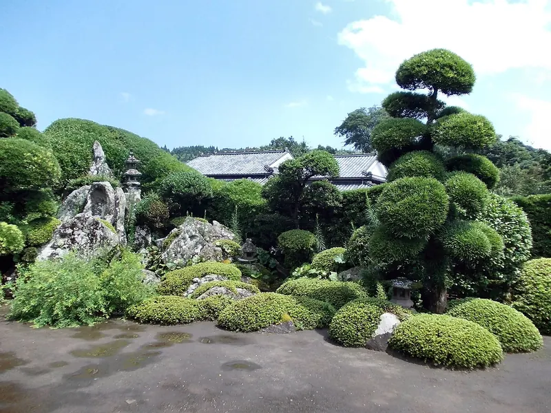 A dry garden of clipped round shrubs, tall rocks and a pruned pine in front of a tiled house