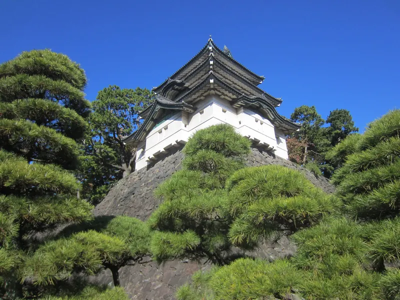 The white Fujimi-yagura tower of Edo Castle above pine trees and a stone wall