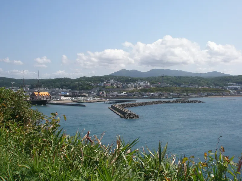 A harbour with stone breakwaters and moored boats seen from a grassy headland, with a town on a low hill behind and mountains on the horizon