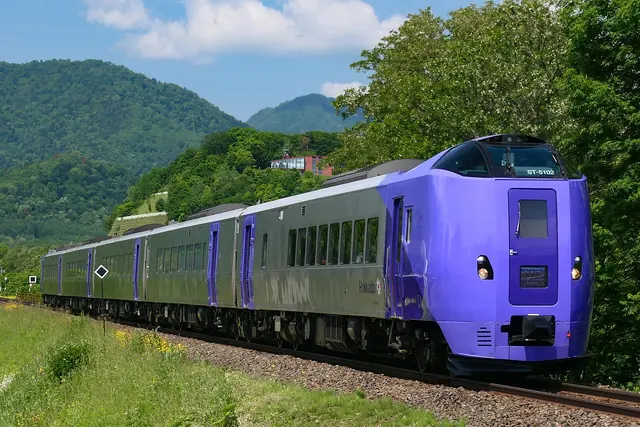 Limited express train with a purple front rounding a curve