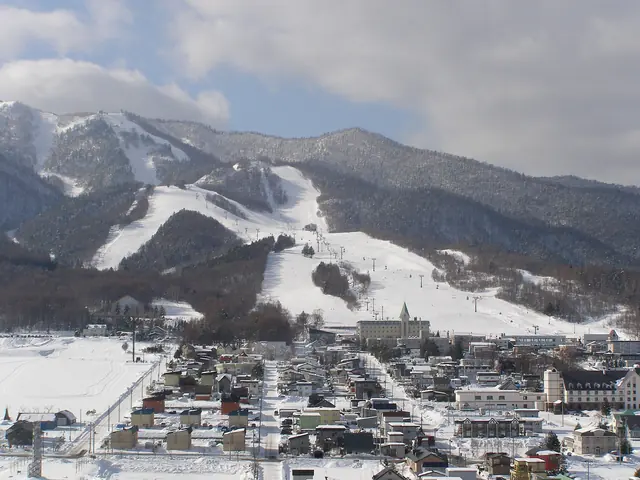 Snow-covered ski runs cut through forest on a mountainside above the town