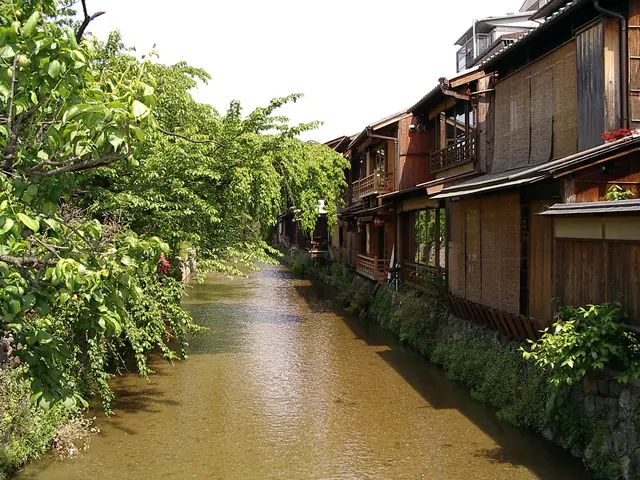 The Shirakawa canal with wooden teahouses and bamboo blinds on the right and green trees on the left