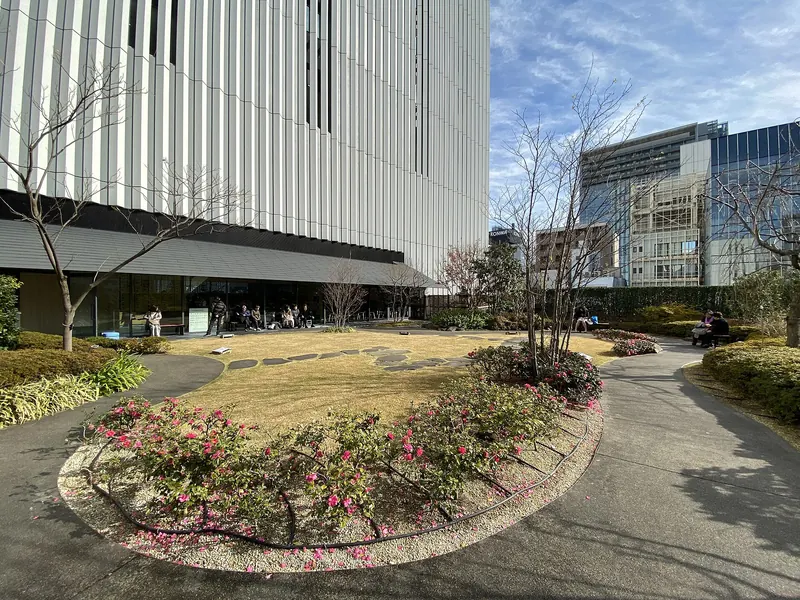 A rooftop garden with a curved path, a small lawn and a bed of low pink-flowered shrubs beside the pale wall of a tall building