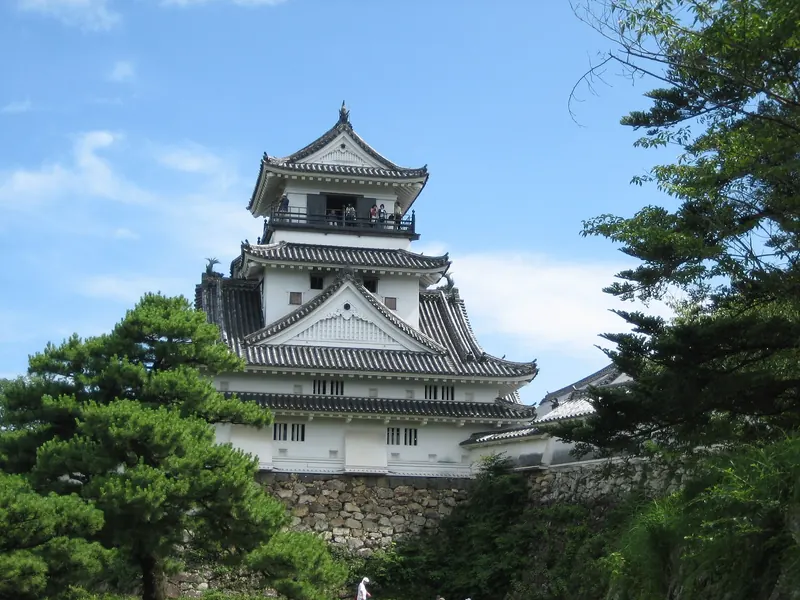 The white keep of Kochi Castle above pine trees and stone walls