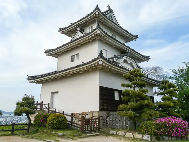 The white keep of Marugame Castle with pine trees and azaleas