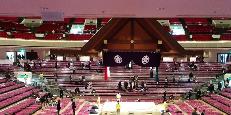Rows of square floor boxes with pink cushions and metal rails, sloping down towards the ring and its hanging roof