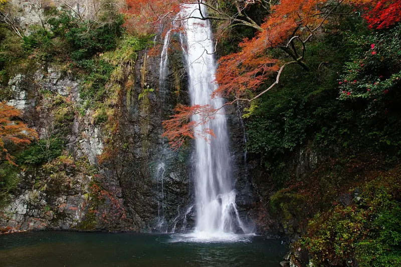A tall waterfall dropping into a pool between rocks and red autumn maples