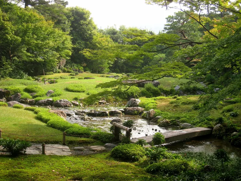 A green garden with a shallow stream, mossy banks, stepping stones and tall trees
