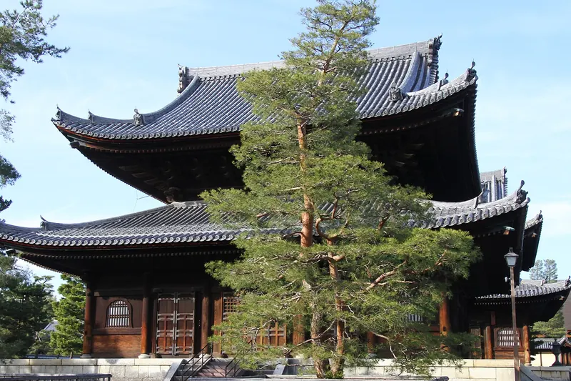 A large two-tiered temple hall with grey tiled roofs behind a pine tree and a bamboo fence