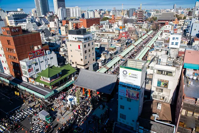 The roofs of the Nakamise shops leading to the Hozomon gate with the pagoda and main hall beyond, seen from above