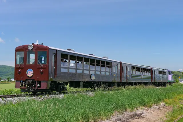 Maroon sightseeing train with open windows running through green fields