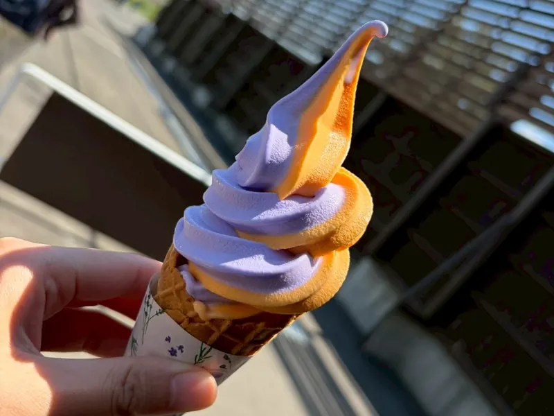 A hand holding a purple and orange twist of soft-serve ice cream in a waffle cone, in a paper sleeve printed with lavender sprigs