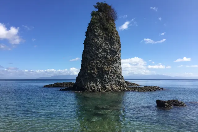 A pointed rock stack with shrubs on top standing in clear shallow water, with a faint line of land on the horizon