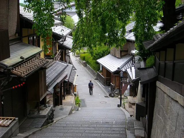 A stone-stepped lane between wooden houses with one walker far away