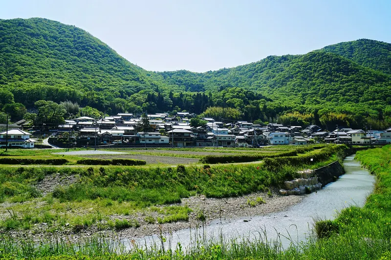 A village of houses at the foot of green wooded hills, with rice fields and a stream in front